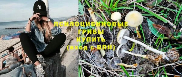 мдпв Лихославль