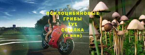 ешки Липки