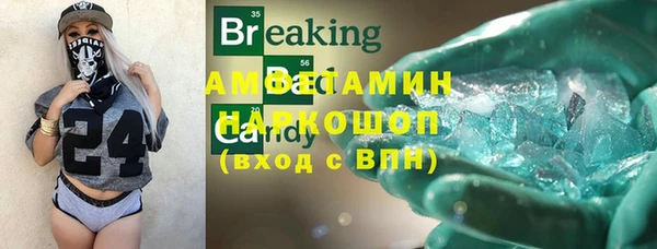 прущие грибы Магас