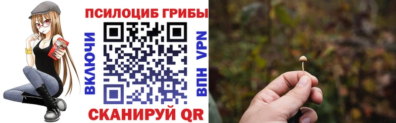 как найти закладки  Мосальск  Псилоцибиновые грибы MAGIC MUSHROOMS 
